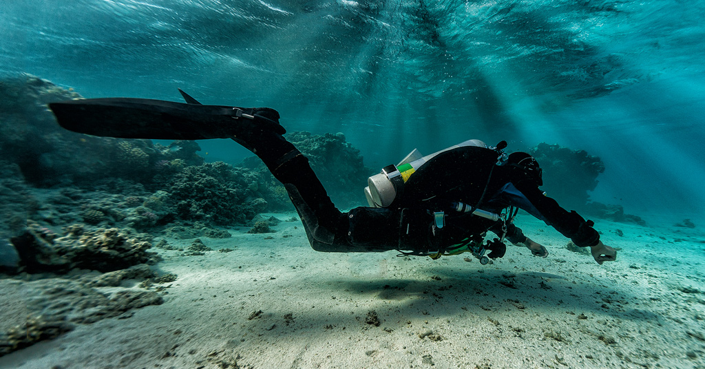 Tec Diver Level 2 (TDI: Decompression Procedures ⎜PADI TEC-REC: TEC 45)