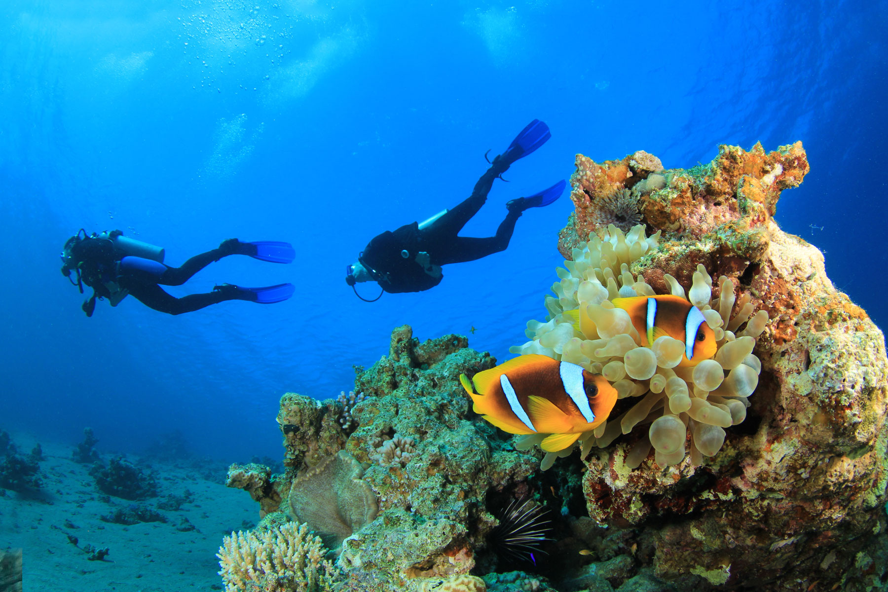 Recreational scuba diving in Dahab