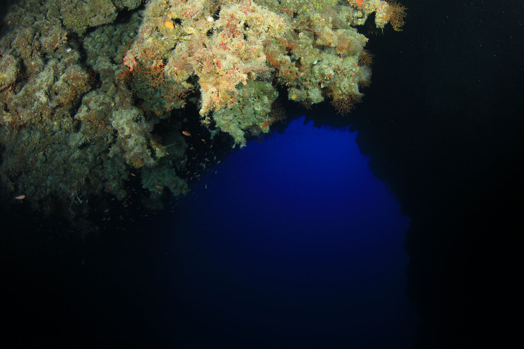 The Arch, Famous Dahab Tec Dive Site