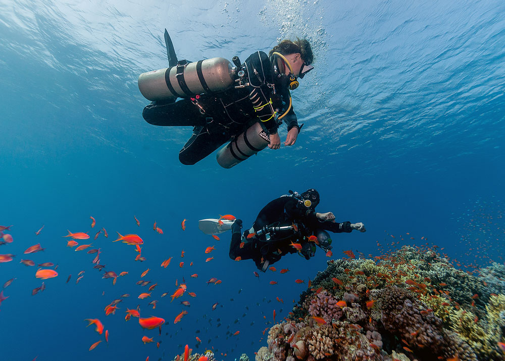 Guided tec dive over Dahab's coral reef