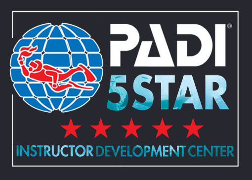 PADI IDC 5 stars Dive center in Dahab