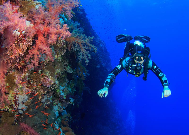 Scuba Seekers Store for diving gear