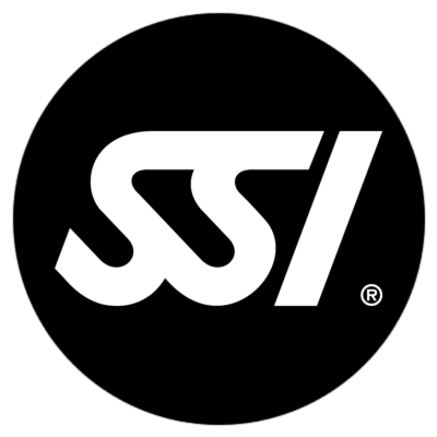 SSI Logo