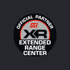 SSI_XR_logo