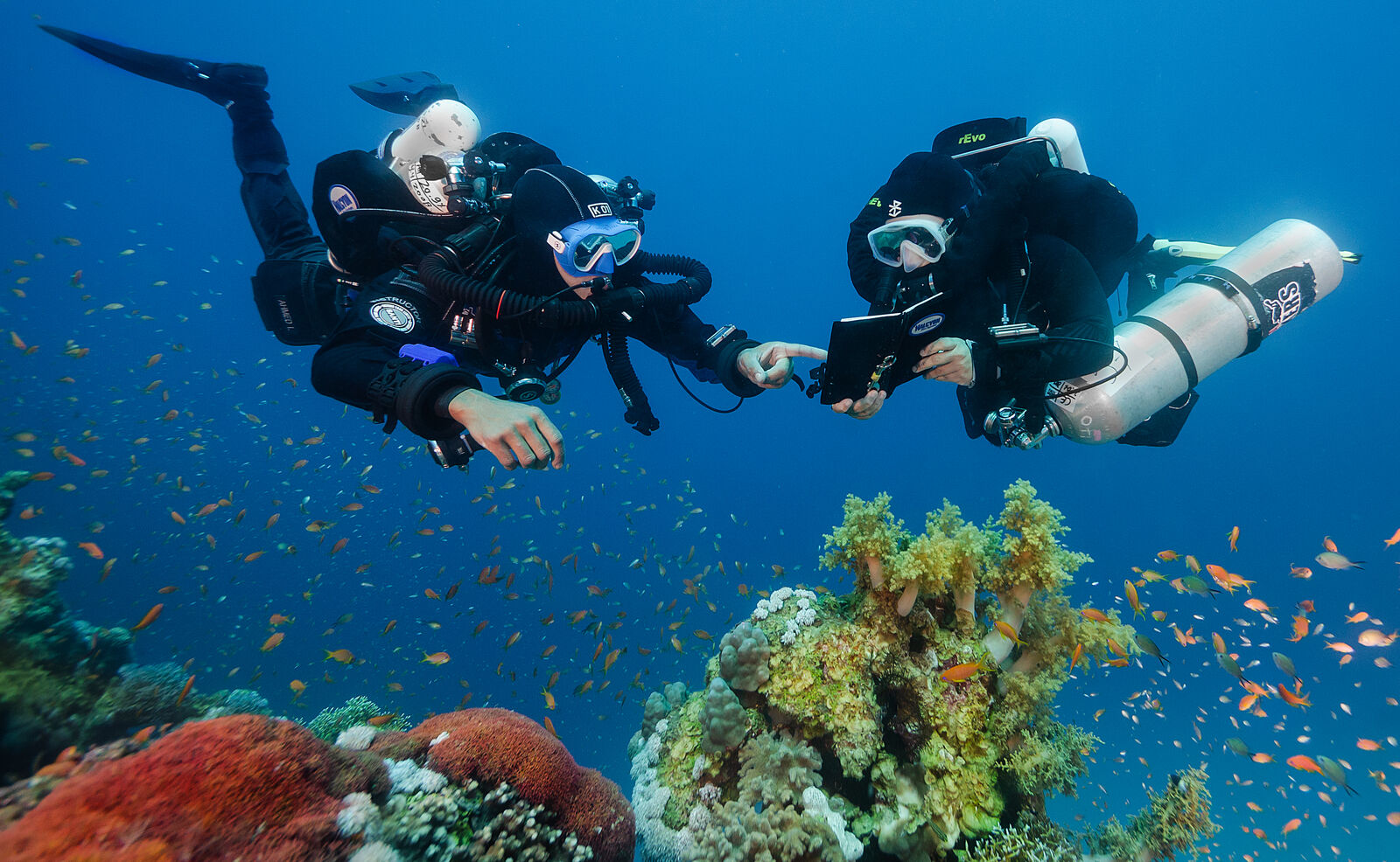 two CCR divers student and instructor