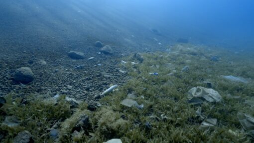 Trash discarded in Dahab