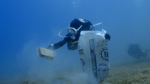 Diver with trash bag and plastic container