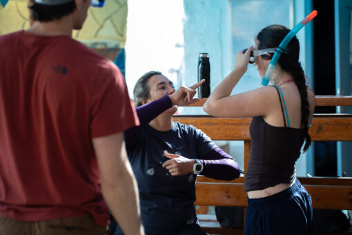 shereen teaching