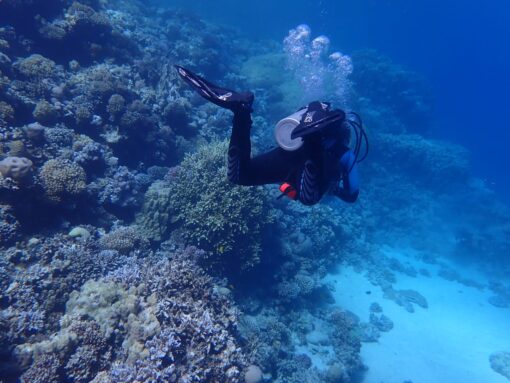 Woman Diving in Dahab