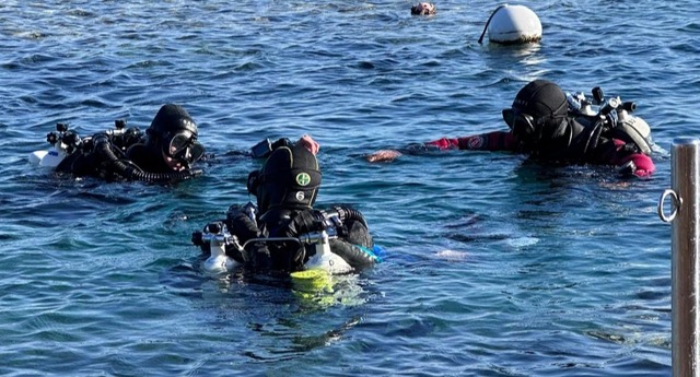 Divers grouped together at the surface after a dive in the Red Sea