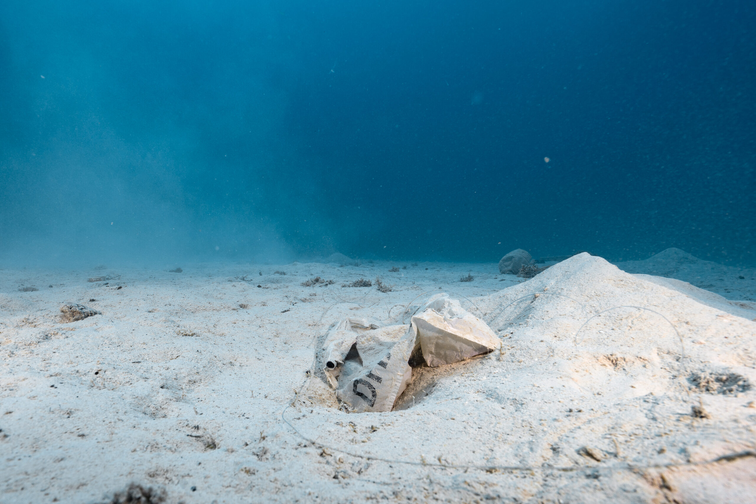 A diver photographing a discarded polystyrene food container lying on the seagrass in Dahab