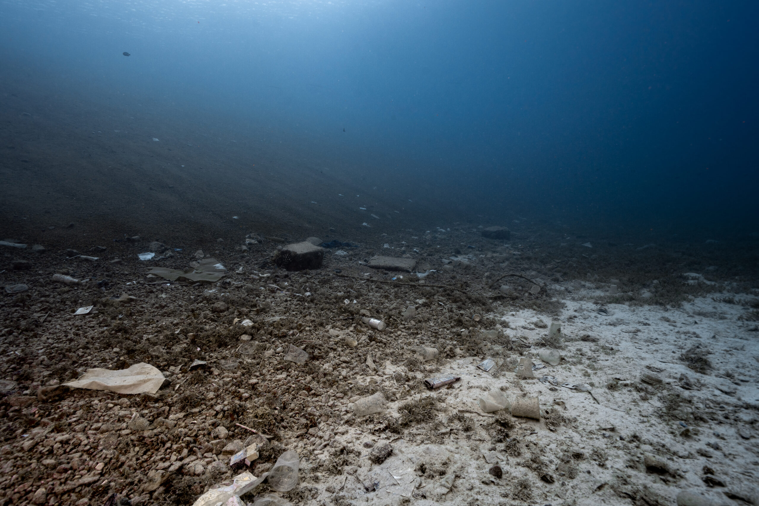 Plastic cups, bags and debris scattered across the seabed before being collected